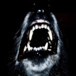 Profile picture of testaccount